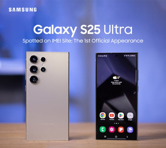 Buy Samsung Galaxy S25 Ultra